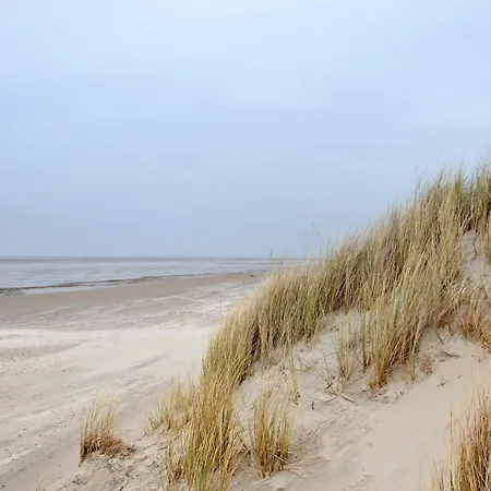 Appartement Harmonie - Jasmin Borkum